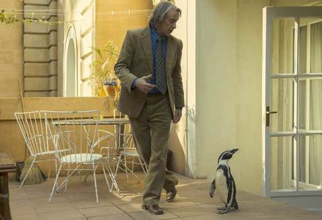 Pingvinove lekcije The Penguin Lessons