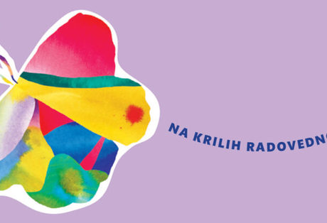 17. festival Bobri