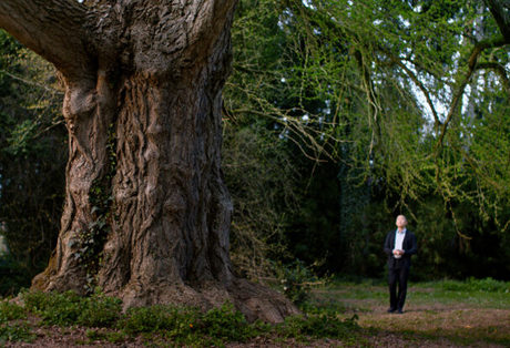 Tiha prijateljica | Stille Freundin
