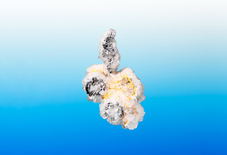 SVEŽE RIBE: #novulov